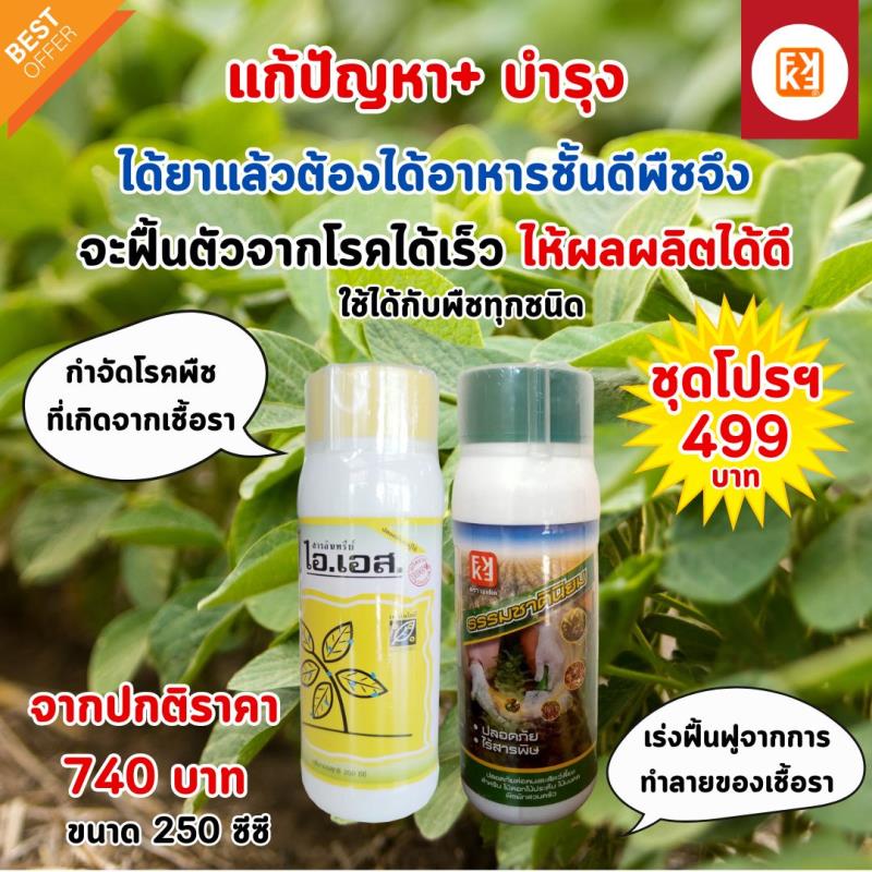 ถั่วเหลือง ใบไหม้ ใบเหลือง รากเน่า โคนเน่า ราสนิม โรคแอนแทรคโนส เชื้อราต่างๆป้องกันและกำจัดด้วย ไอเอส และปุ๋ย FK-T