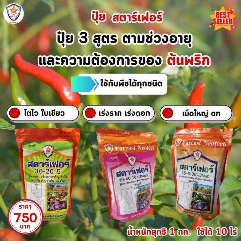 พริก โตไว ใบเขียว เร่งราก เร่งดอก ขยายขนาด เม็ดใหญ่ ลดก เพิ่มน้ำหนัก เพิ่มคุณภาพ ผลผลิต ด้วย ปุ๋ย สตาร์เฟอร์