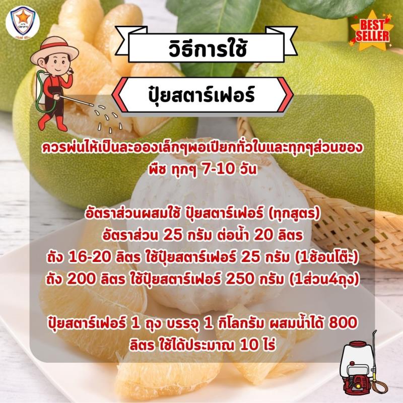 ส้มโอ โตไว ใบเขียว เร่งราก เร่งดอก ขยายขนาด ผลใหญ่ ผลดก เพิ่มน้ำหนัก เพิ่มคุณภาพ ผลผลิต ด้วย ปุ๋ย สตาร์เฟอร์