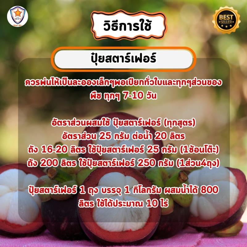 มังคุด โตไว ใบเขียว เร่งราก เร่งดอก ขยายขนาด ผลใหญ่ ดก เพิ่มน้ำหนัก เพิ่มคุณภาพ ผลผลิต ด้วย ปุ๋ย สตาร์เฟอร์