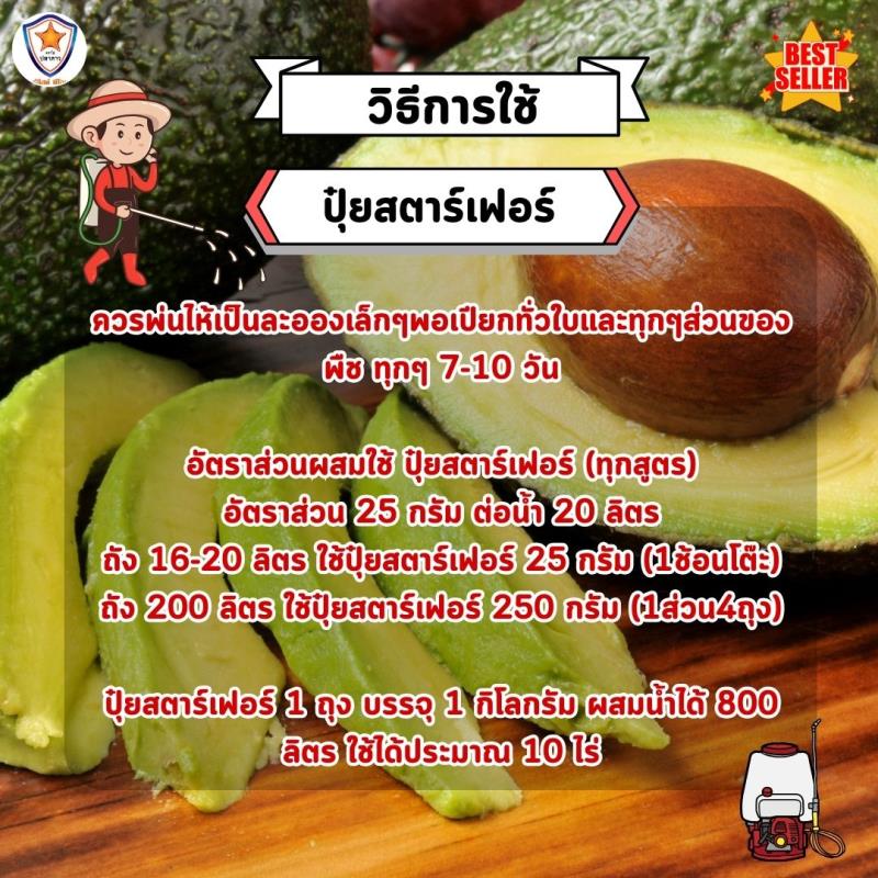 อะโวคาโด้ โตไว ใบเขียว เร่งราก เร่งดอก ขยายขนาด ผลใหญ่ ดก เพิ่มน้ำหนัก เพิ่มคุณภาพ ผลผลิต ด้วย ปุ๋ย สตาร์เฟอร์