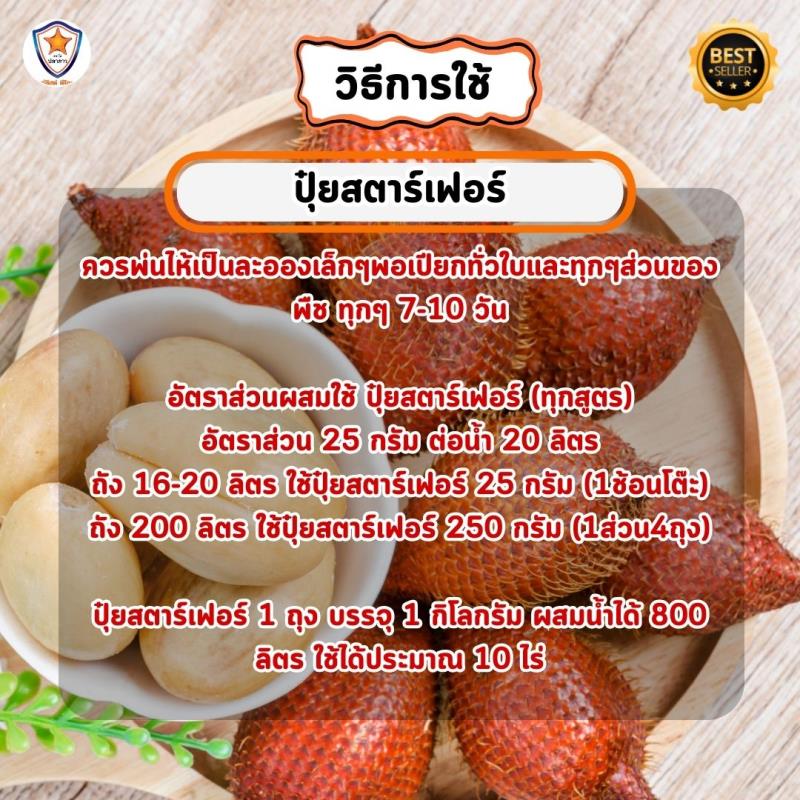 สละ โตไว ใบเขียว เร่งราก เร่งดอก ขยายขนาด ผลใหญ่ ดก เพิ่มน้ำหนัก เพิ่มคุณภาพ ผลผลิต ด้วย ปุ๋ย สตาร์เฟอร์