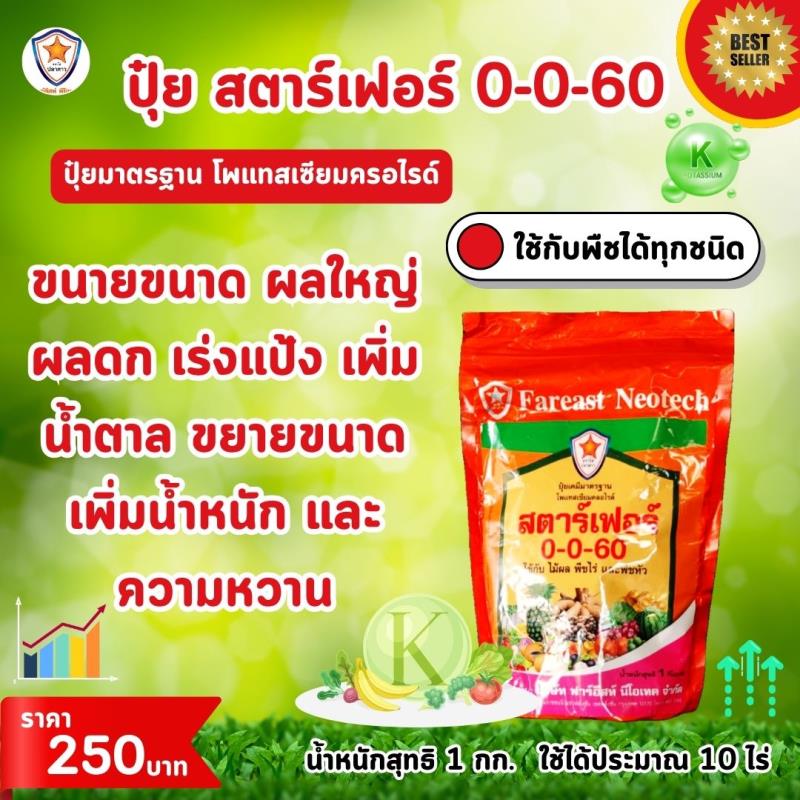 เร่งผล ดก ใหญ่ สมบูรณ์ ด้วยปุ๋ยสตาร์เฟอร์ 0-0-60 ปุ๋ยมาตรฐานโพแทสเซี่ยม