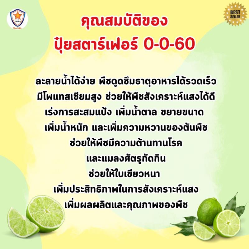 มะนาว ผลใหญ่ ผลดก ขยายขนาด เพิ่มน้ำหนัก เพิ่มคุณภาพ ผลผลิต ด้วย ปุ๋ยโพแทสเซี่ยมคลอไรด์ สตาร์เฟอร์ 0-0-60