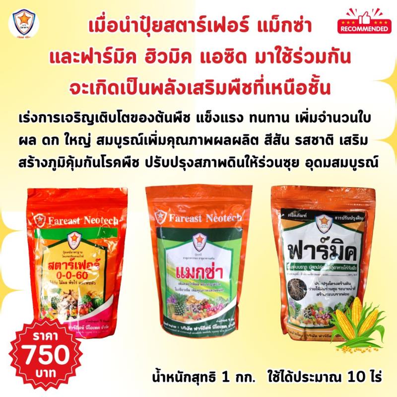 ข้าวโพด ฝักใหญ่ ดก เต็มน้ำหนัก ขยายขนาด เพิ่มน้ำหนัก เพิ่มคุณภาพ ผลผลิต ด้วย ปุ๋ยโพแทสเซี่ยมคลอไรด์ สตาร์เฟอร์ 0-0-60