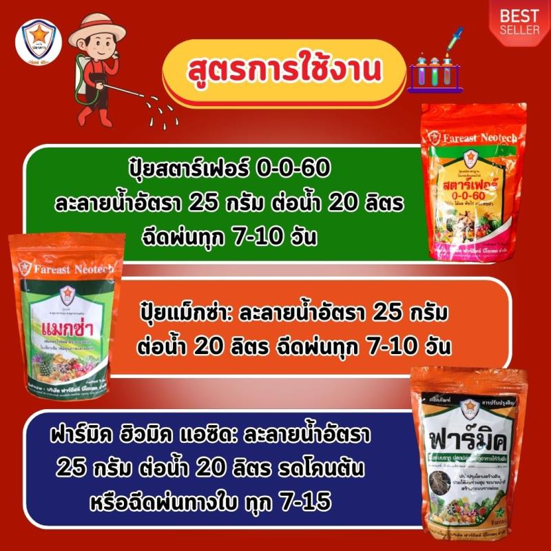 มะเขือเทศ ผลใหญ่ ผลดก ขยายขนาด เพิ่มน้ำหนัก เพิ่มคุณภาพ ผลผลิต ด้วย ปุ๋ยโพแทสเซี่ยมคลอไรด์ สตาร์เฟอร์ 0-0-60