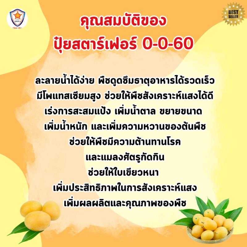 มะปราง ผลดก ขยายขนาด เพิ่มน้ำหนัก เพิ่มคุณภาพ ผลผลิต ด้วย ปุ๋ยโพแทสเซี่ยมคลอไรด์ สตาร์เฟอร์ 0-0-60