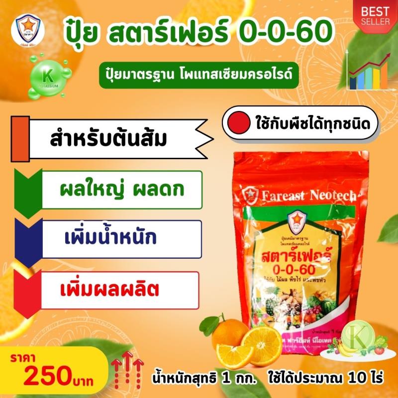 ส้ม ผลใหญ่ ผลดก ขยายขนาด เพิ่มน้ำหนัก เพิ่มคุณภาพ ผลผลิต ด้วย ปุ๋ยโพแทสเซี่ยมคลอไรด์ สตาร์เฟอร์ 0-0-60