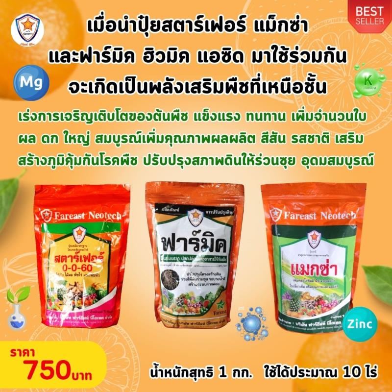 ส้ม ผลใหญ่ ผลดก ขยายขนาด เพิ่มน้ำหนัก เพิ่มคุณภาพ ผลผลิต ด้วย ปุ๋ยโพแทสเซี่ยมคลอไรด์ สตาร์เฟอร์ 0-0-60