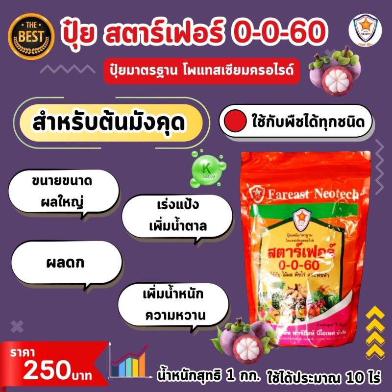 มังคุด ผลใหญ่ ผลดก ขยายขนาด เพิ่มน้ำหนัก เพิ่มคุณภาพ ผลผลิต ด้วย ปุ๋ยโพแทสเซี่ยมคลอไรด์ สตาร์เฟอร์ 0-0-60