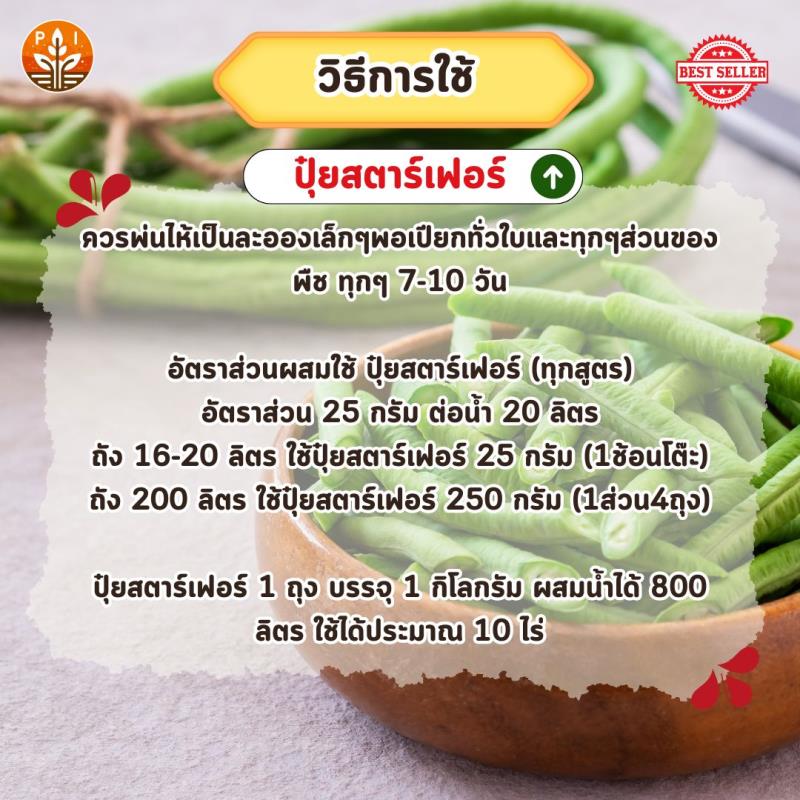 ถั่วฝักยาว ฝักใหญ่ ฝักดก ด้วย ปุ๋ย สตาร์เฟอร์ 0-0-60 โพแทสเซี่ยม สูตรเร่งผล เพิ่มผลผลิต ขยายขนาด เพิ่มน้ำหนัก และคุณภาพ