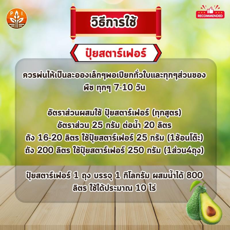 อะโวคาโด้ ผลใหญ่ ผลดก ด้วย ปุ๋ย สตาร์เฟอร์ 0-0-60 โพแทสเซี่ยม สูตรเร่งผล เพิ่มผลผลิต ขยายขนาด เพิ่มน้ำหนัก และคุณภาพ