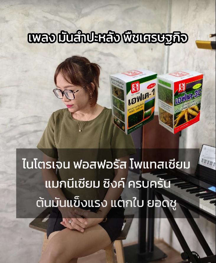 เพลง มันสำปะหลังพืชเศรษฐกิจ