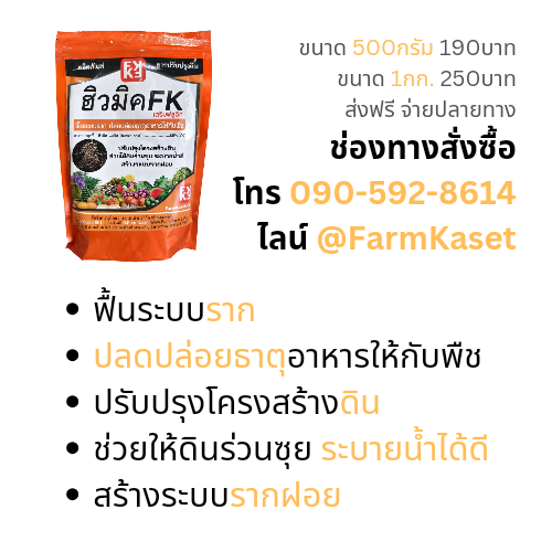 ใส่ปุ๋ยแล้ว ควรให้ฮิวมิคเพิ่ม ดีไหม เพราะอะไร?
