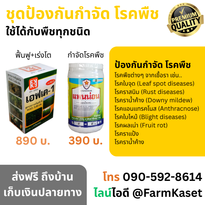 การป้องกันกันกำจัดโรคพืช อย่างมีประสิทธิภาพ โรคใบไหม้ โรคใบจุด โรคราสนิม โรคราต่างๆ