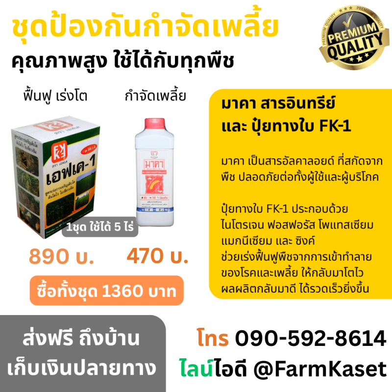 รู้ทันศัตรูพืช! ป้องกันเพลี้ยและแมลงปากดูดอย่างได้ผล 🌿